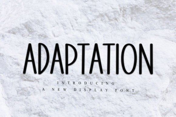 Adaptation: Elevating Digital Design with Elegant Display Typography